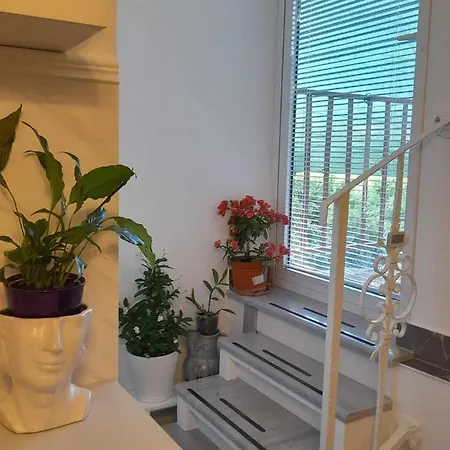 Apartman Bianca * Seget Vranjica
